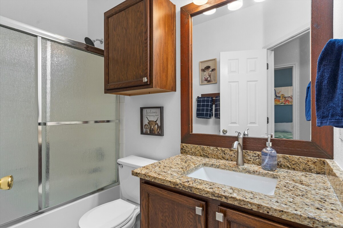 Backyard, Games & Grill hall bathroom with granite vanity